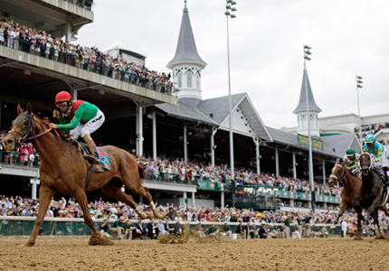 Animal Kingdom, winner of the 137th Kentucky Derby