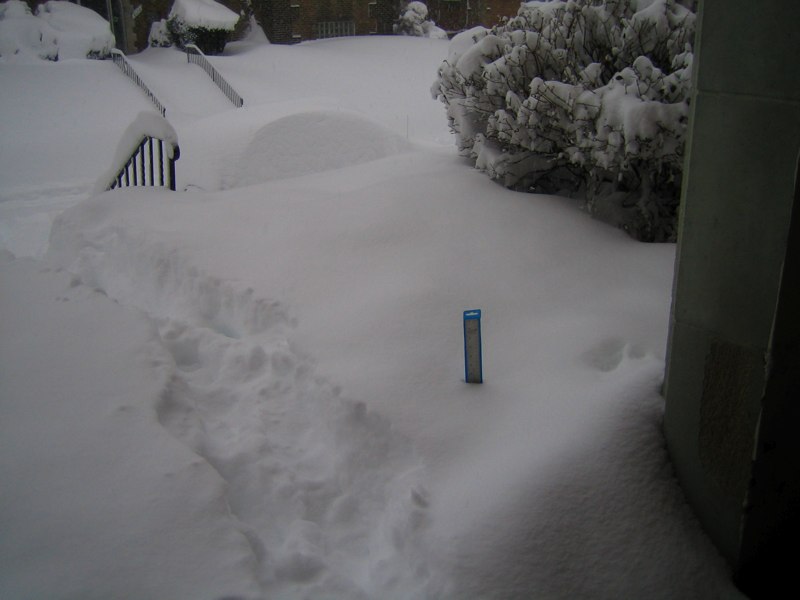 11 inches of snow